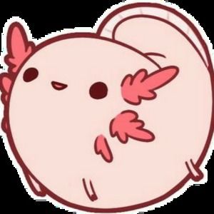 Meet your Posher, Apuakea